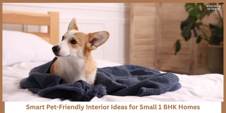 Best Pet-Friendly Interior Ideas