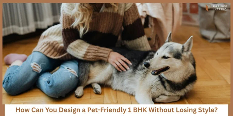 Best Pet-Friendly Interior Ideas for a 1 BHK