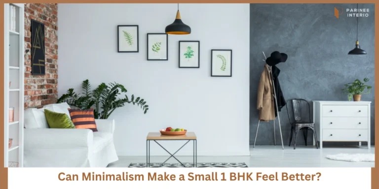 Minimalist 1 BHK Interior - Style vs Practicality