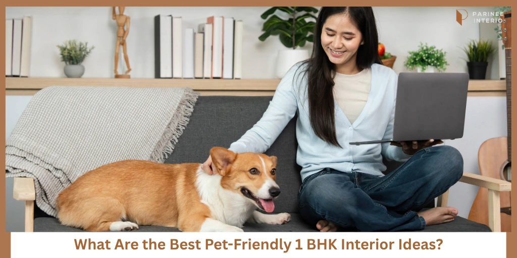 You are currently viewing Pet-Friendly 1 BHK Interior Ideas